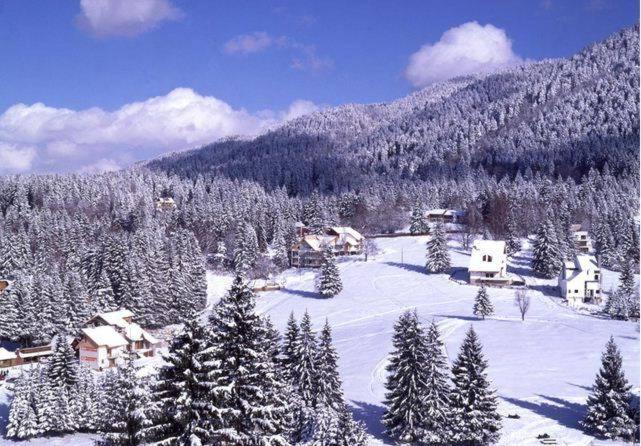 Poiana Brasov, Aparthotel 609,Alpin Bagian luar foto